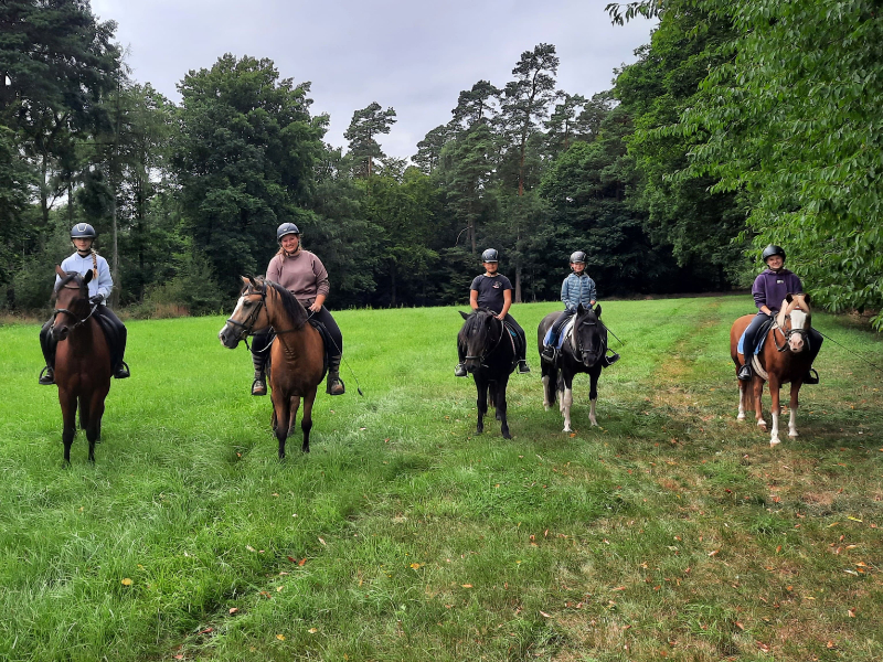 Reiterfreizeit; © Titelfoto CVJM